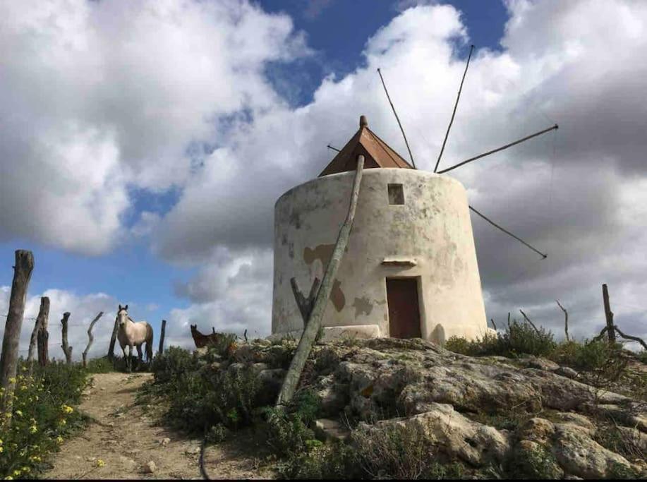 La Torre Eco-Suite Vejer de la Frontera Zewnętrze zdjęcie